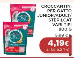 Coop CROCCANTINI PER GATTO offerta