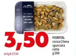 MEGA FIORITAL cozza Cilena sgusciata cotta offerta