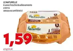 MEGA LE NATURELLE 6 uova fresche da allevamento a terra senza uso antibiotici offerta
