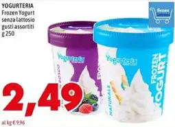 MEGA YOGURTERIA Frozen Yogurt senza lattosio offerta