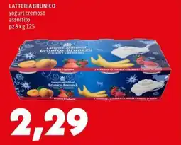 MEGA LATTERIA BRUNICO yogurt cremoso offerta