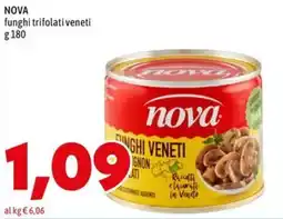 MEGA NOVA funghi trifolati veneti offerta