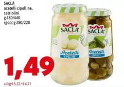 MEGA SACLÀ acetelli cipolline, cetriolini offerta