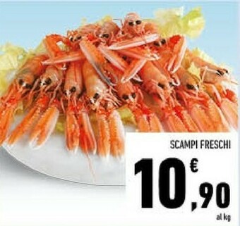 Conad Scampi freschi offerta