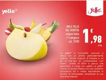 Conad Mele yello offerta