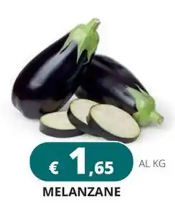Altasfera Melanzane offerta