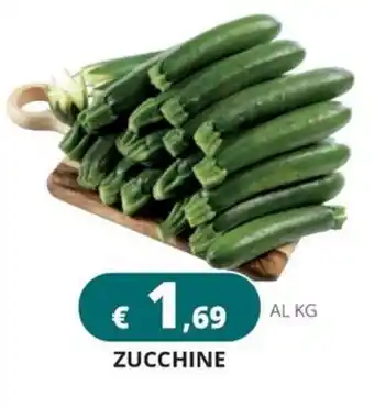 Altasfera Zucchine offerta