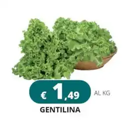 Altasfera Gentilina offerta