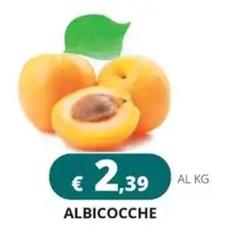 Altasfera Albicocche offerta
