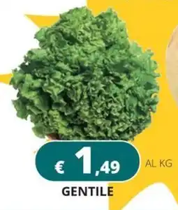 Altasfera Gentile offerta