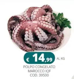 Altasfera Polpo congelato marocco iqf offerta