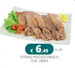 Altasfera Totano pescato fresco offerta