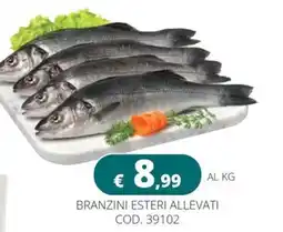 Altasfera Branzini esteri allevati offerta