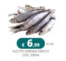 Altasfera Filetto sardina fresco offerta