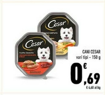 Conad Cibo per cani offerta