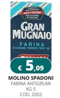 Altasfera Molino spadoni farina antigrumi offerta