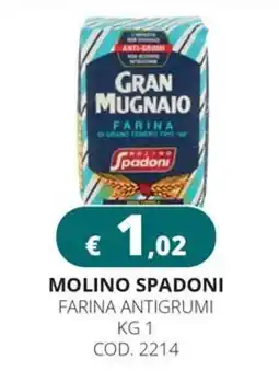 Altasfera Molino spadoni farina antigrumi offerta