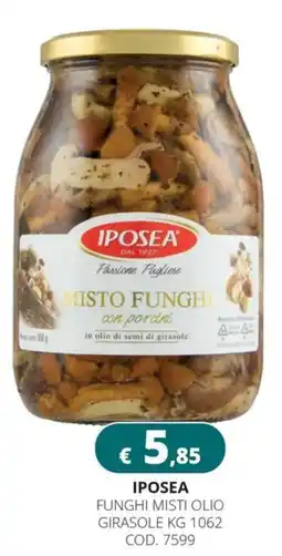 Altasfera Iposea funghi misti olio girasole offerta