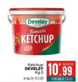 Altasfera Ketchup DEVELEY offerta