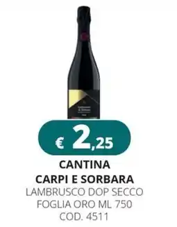 Altasfera Cantina carpi e sorbara lambrusco dop secco foglia oro offerta