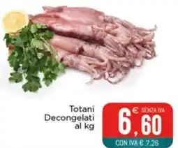 Altasfera Totani Decongelati offerta