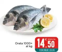 Altasfera Orata 1000+ offerta