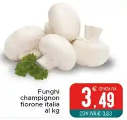 Altasfera Funghi champignon fiorone italia offerta