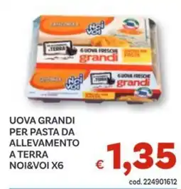 Vivo Supermercati Uova grandi per pasta da allevamento a terra NOI&VOI offerta
