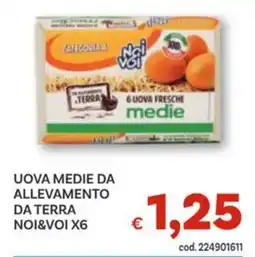 Vivo Supermercati Uova medie da allevamento da terra NOI&VOI offerta