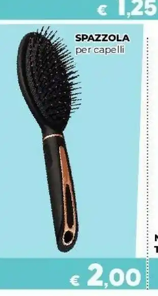 Orizzonte Spazzola per capelli offerta