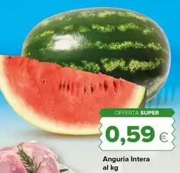 Tigre Anguria Intera offerta