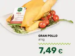 Tigre Gran pollo offerta