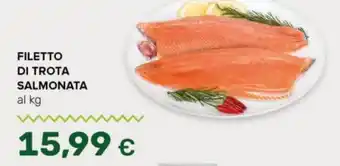Tigre Filetto di trota salmonata offerta