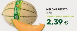 Tigre Melone retato offerta