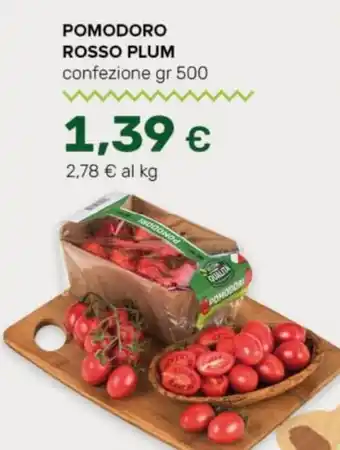 Tigre Pomodoro rosso plum offerta