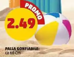 PENNY Palla gonfiabile offerta