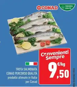 Conad Trota salmonata conad offerta