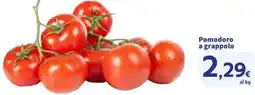 Sigma Pomodoro a grappolo offerta