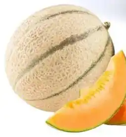 Sigma Melone retato offerta