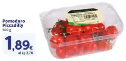 Sigma Pomodoro Piccadilly offerta