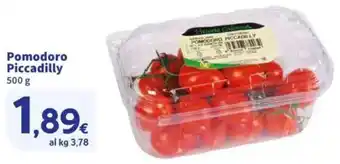 Sigma Pomodoro Piccadilly offerta