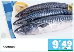 Eurospar SGOMBRO offerta