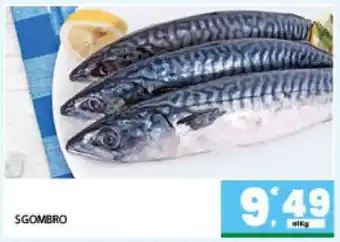 Eurospar SGOMBRO offerta