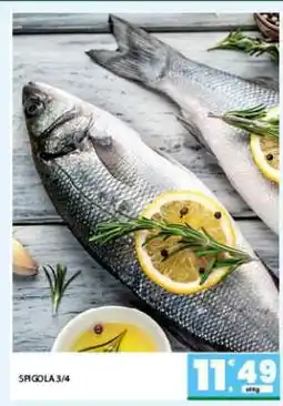 Eurospar Spigola 3/4 offerta