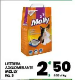 Eurospar LETTIERA AGGLOMERANTE MOLLY offerta