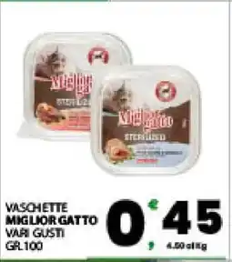Eurospar VASCHETTE MIGLIOR GATTO offerta