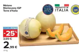 Carrefour Melone Mantovano IGP Terre d'Italia offerta