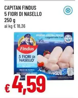 Famila CAPITAN FINDUS 5 FIORI DI NASELLO offerta
