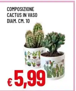 Famila COMPOSIZIONE CACTUS IN VASO offerta