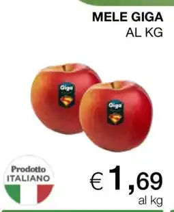 Coop MELE GIGA offerta
